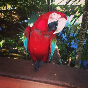 2014-03-09 10.54.03-1