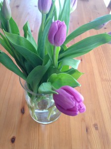 Every girl should buy herself flowers once and a while. Purple tulips are lovely.